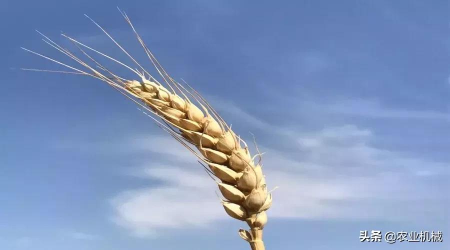 粮食价格走势_农机行业变数_拖拉机单机版下载