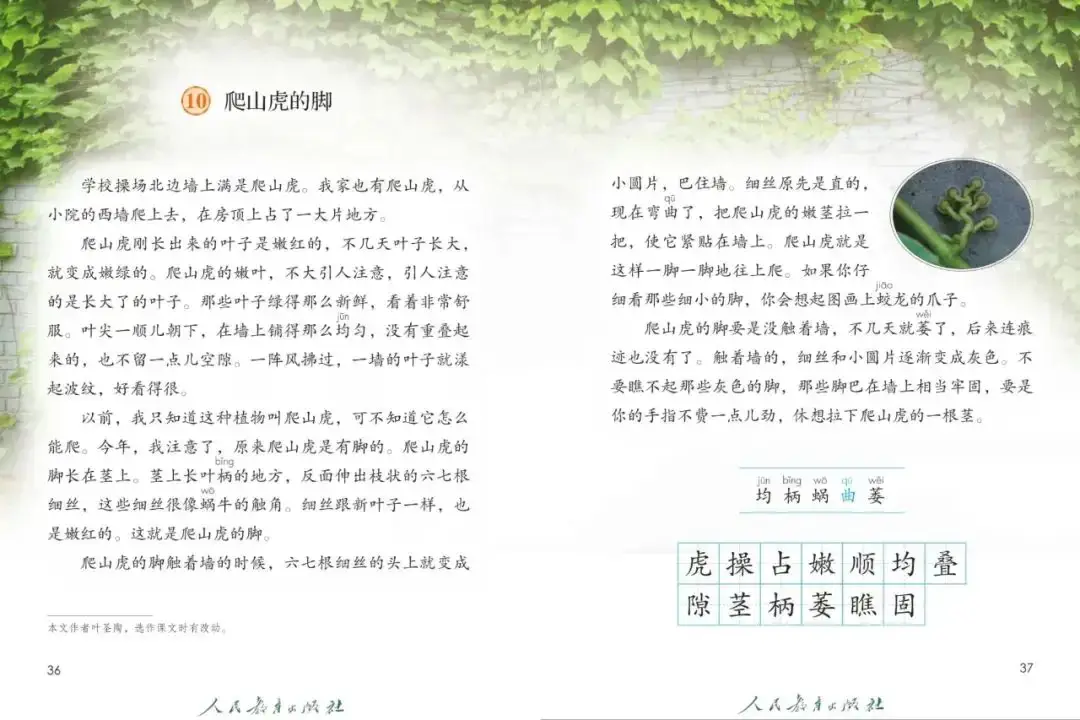 叶圣陶童话 下载_叶圣陶 语文教育 课文赏析