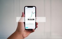 投资者必备：炒股配资的成功案例分享