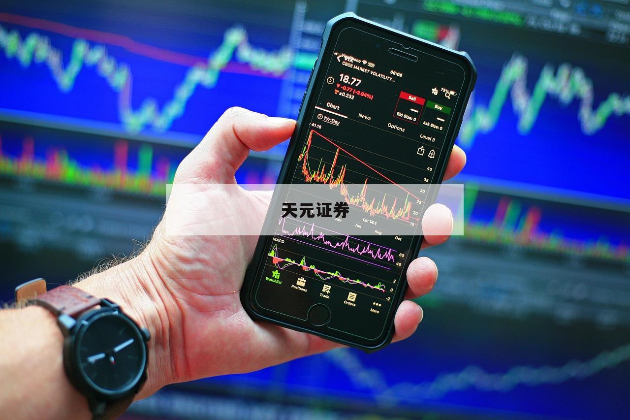 深度分析：配资网的优势与风险评估